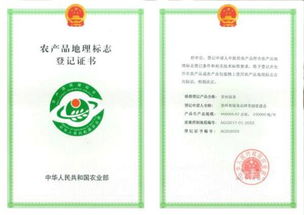 都匀毛尖品牌的发展之路 税务登记代理的助力与创新